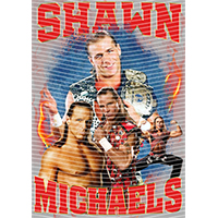 idol singer-GS  2456